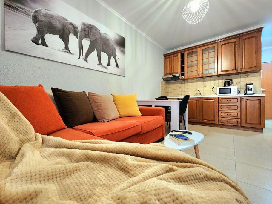 One Bd Flat Near Center With 24H Self Check In Apartment Tirana Exterior photo